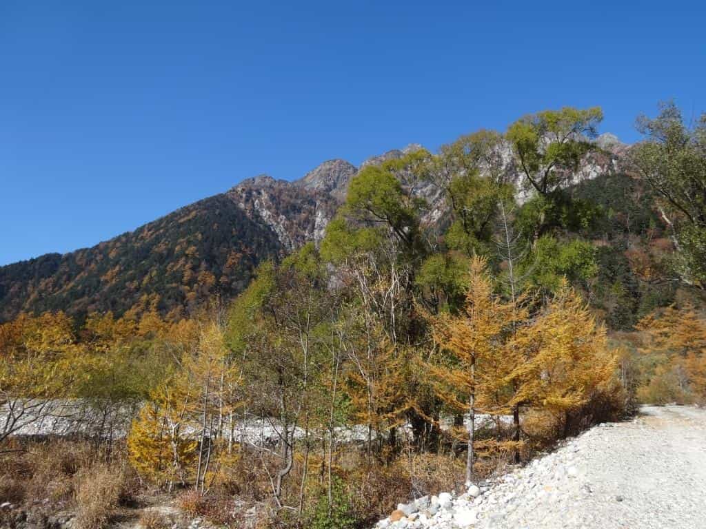 上高地の紅葉