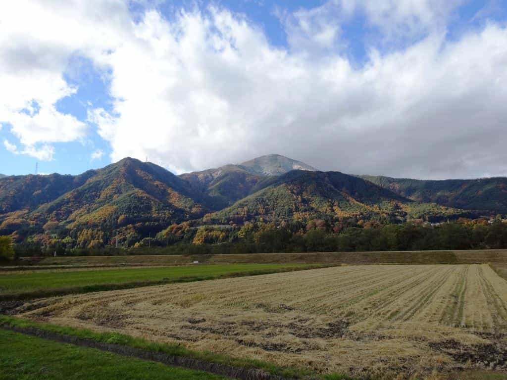 雪と紅葉